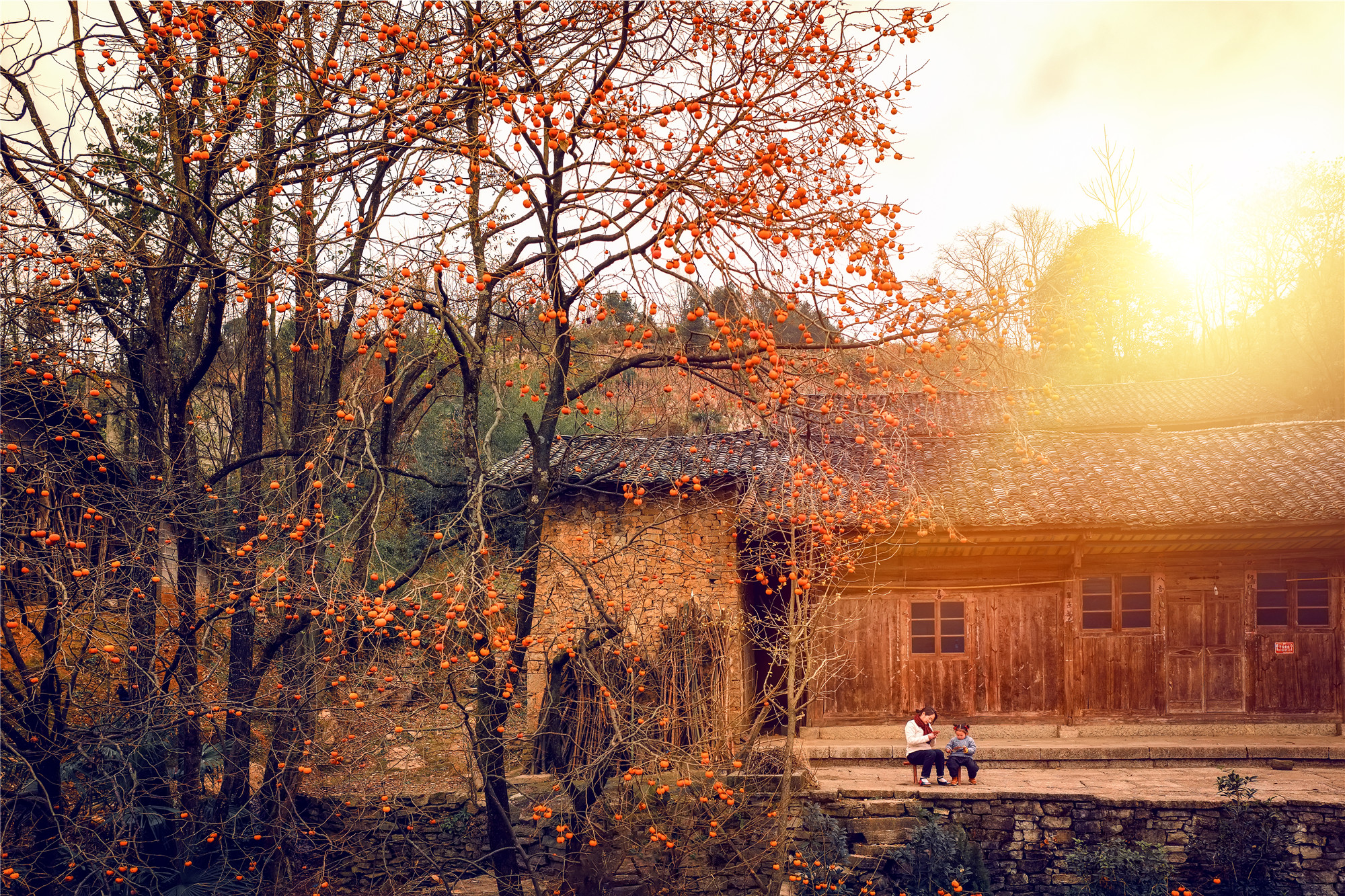 湘西龙脉风水传说,湘西龙山龙脉风水宝地