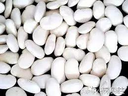 何为发物的图片,何为发物的意义