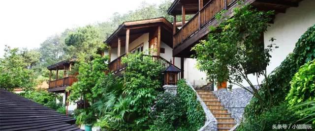 英德奇洞温泉特价门票多少钱一张,英德奇洞温泉度假区两日自驾游