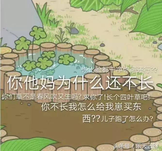 你那爱旅行的青蛙儿子，最近去乐天云谷了~