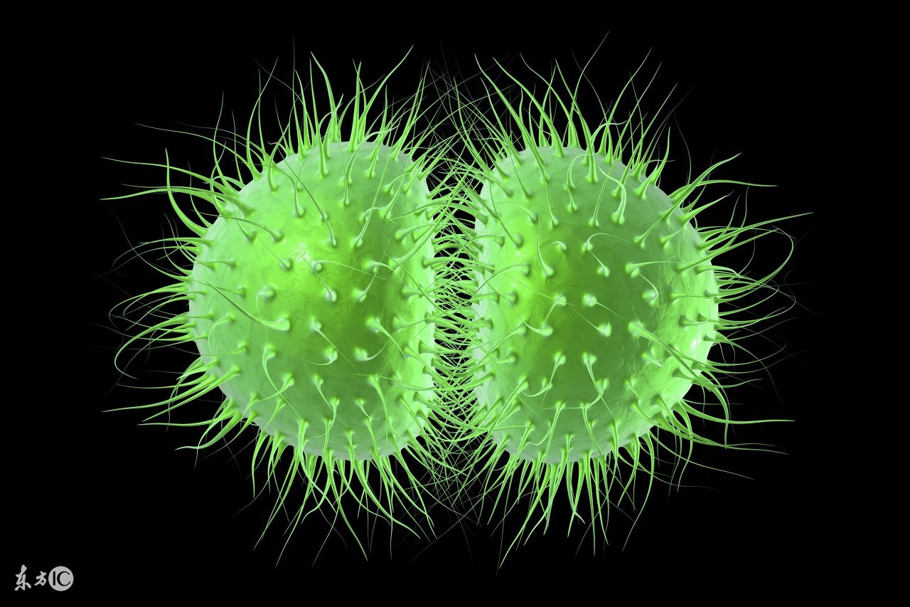 结核脑膜炎老是发烧怎么办,脑膜炎低热症状