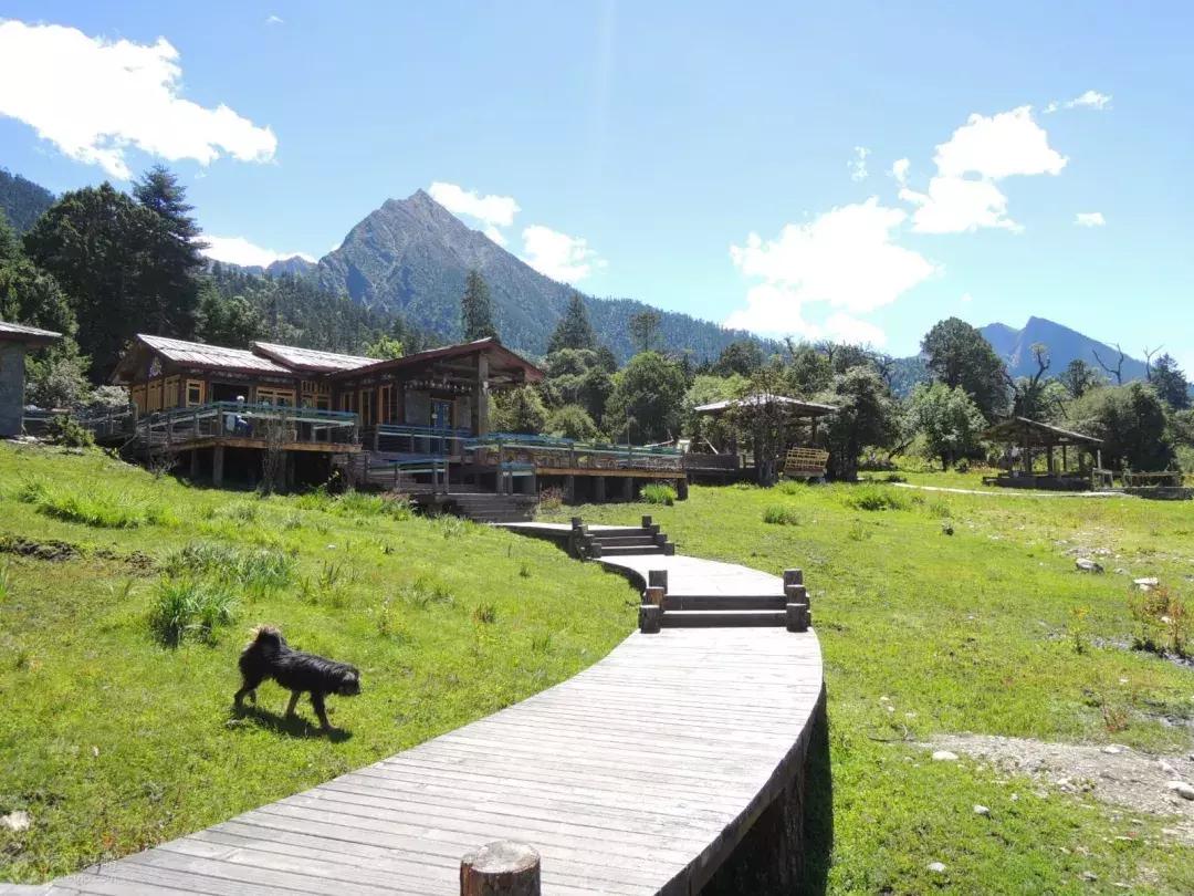 拉林高速最美段,公路的颜值