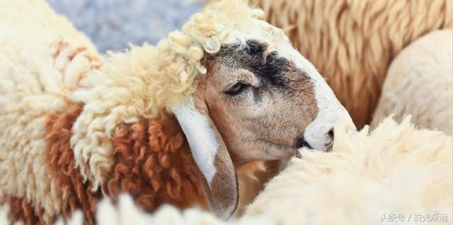 克隆人完全和自己一样吗,如果世界有个和你一模一样的人