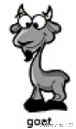 动物的英文单词都有哪些,动物英语单词13个