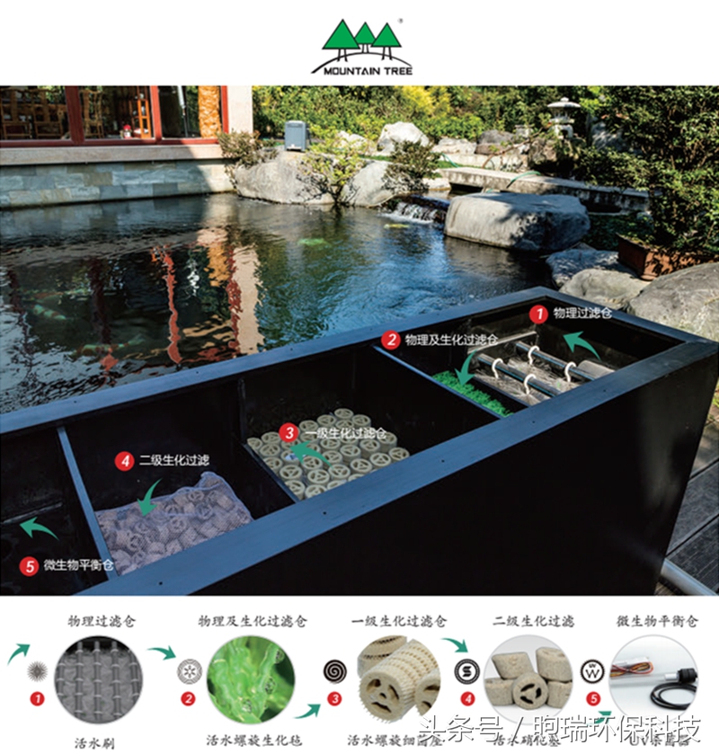 庭院鱼池放泥巴怎么保证水不浑,庭院小型鱼池消毒后怎么养水