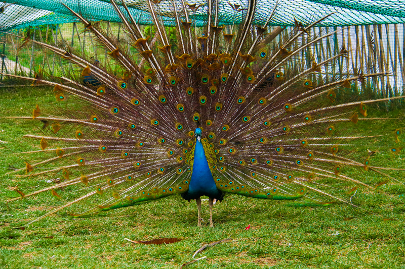 司徒小镇景区栖嬉园,山西司徒小镇栖嬉园