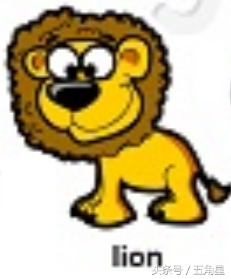 动物的英文单词都有哪些,动物英语单词13个