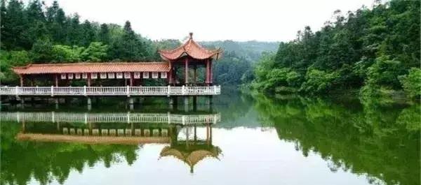 渝贵高铁与贵开城际,成渝贵高铁环线线路图