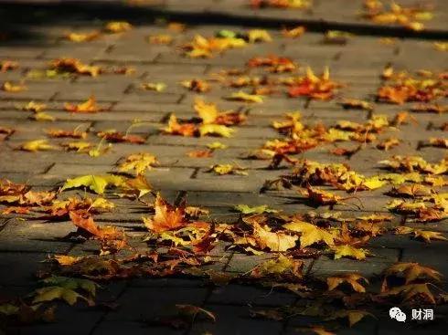 宝剑锋从磨砺出梅花曾自苦寒来,宝剑锋从磨砺出梅花香自苦寒来