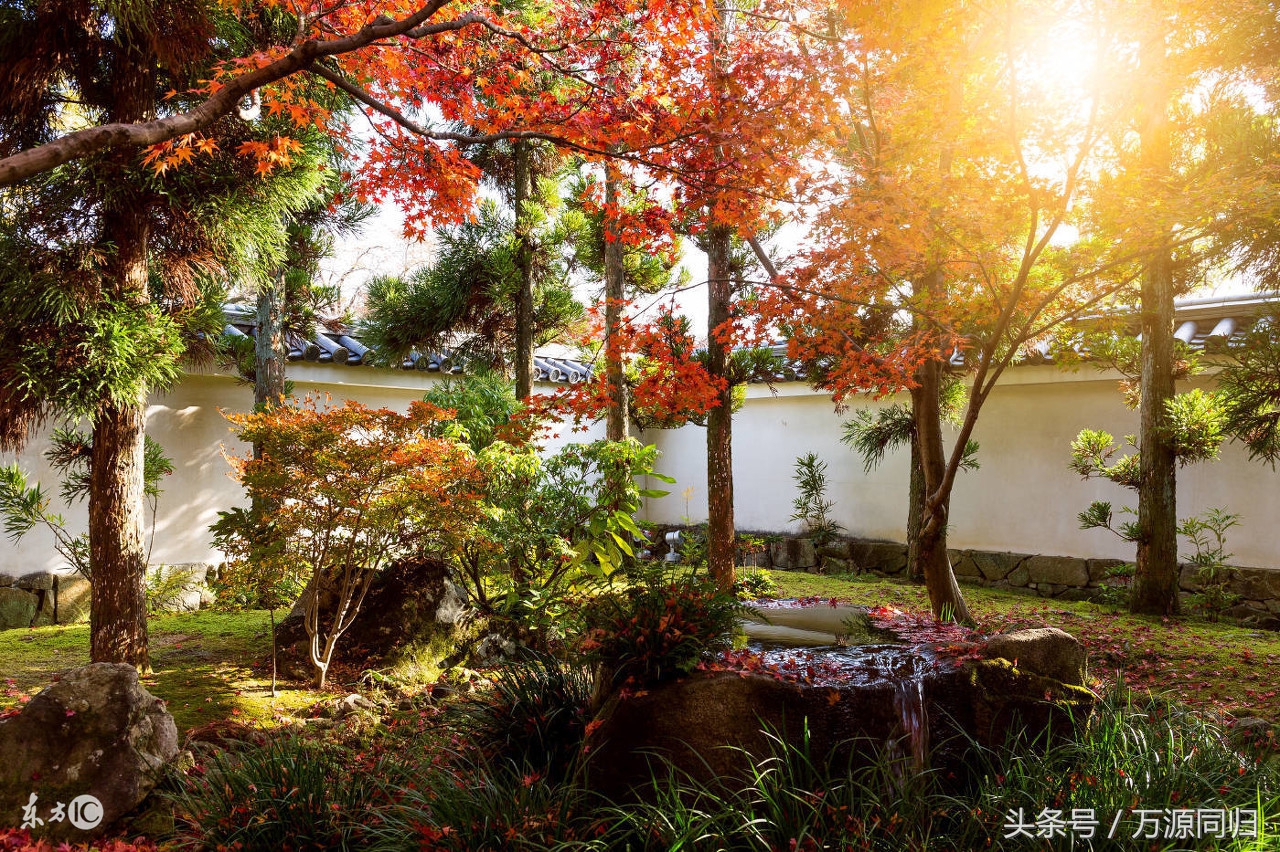 为保护动物，女富豪低调捐赠96亿！何巧女与东方园林的前世今生