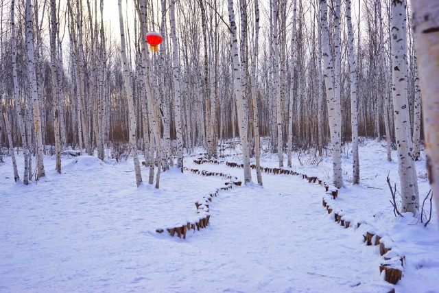 「新年目的地推荐一」金鸡之巅，边境梦雪，一路向北