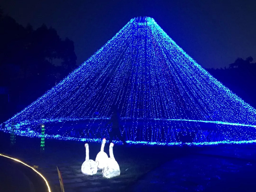 缤纷悉尼灯光音乐节西安,缤纷亚马逊