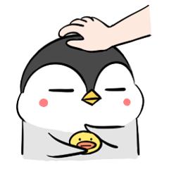 比小青蛙还萌的小企鹅——阿七，看一眼就会爱上的小贱萌