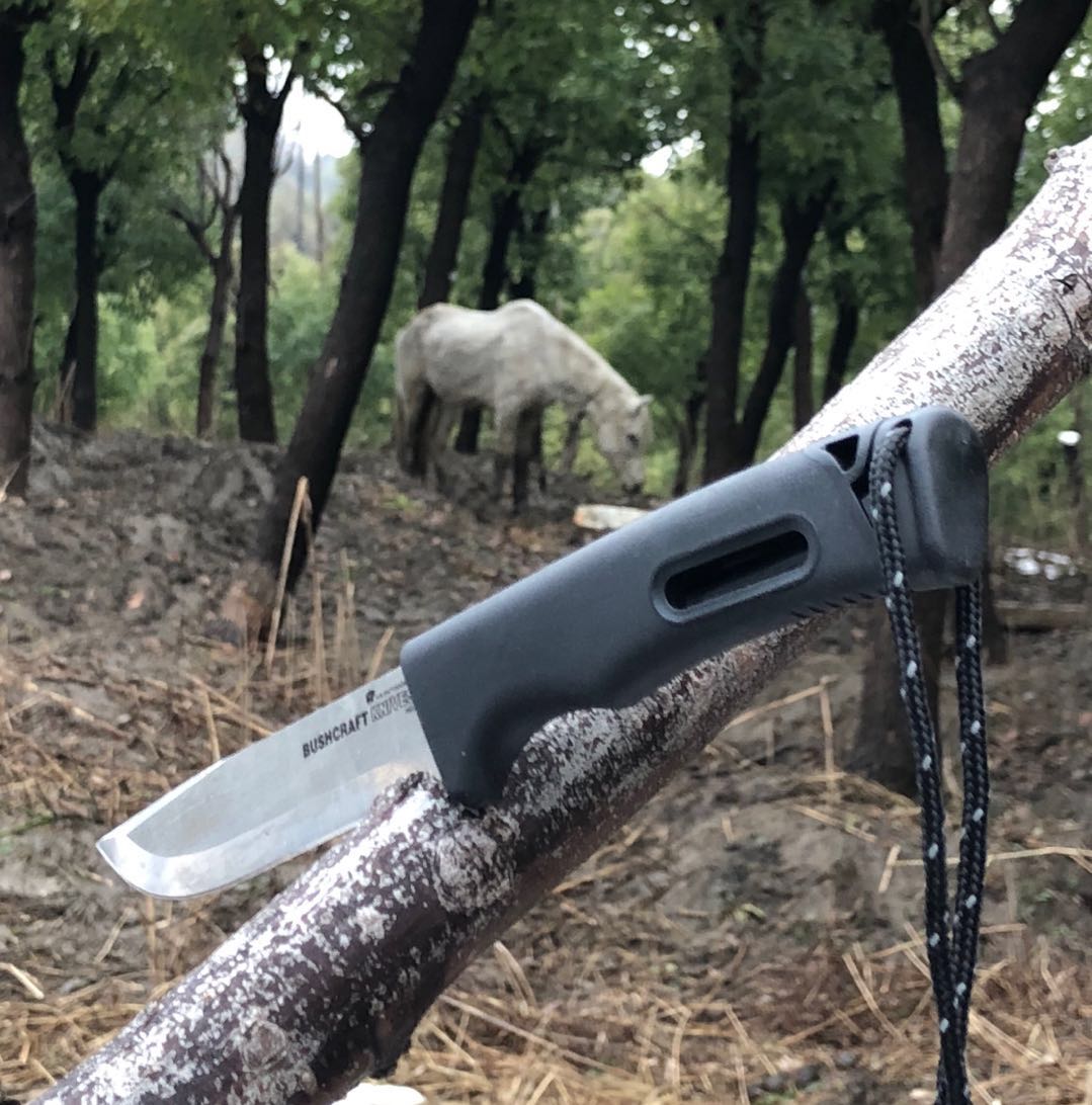 汉道生存大师2值得入手吗,汉道生存大师评测