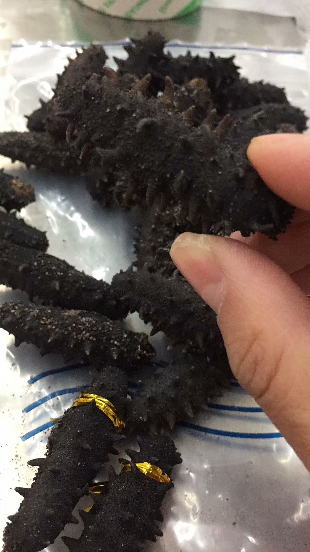 野生海参和养殖海参的营养区别,海参不是真正的海参