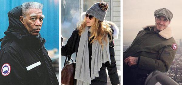 来自加拿大的“鹅”满街跑,还真不是中国人又崇洋媚外!