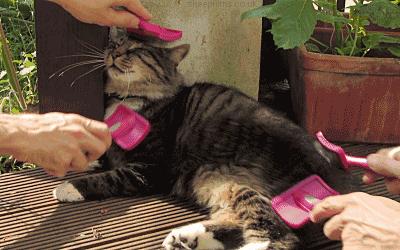 南京最便宜汗蒸馆在哪里,南京汗蒸馆十大排名含自助餐