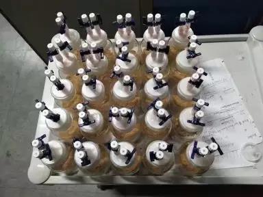 两年半30门课满绩，能“狂飙”英语，这才是学霸中的“战斗机”！