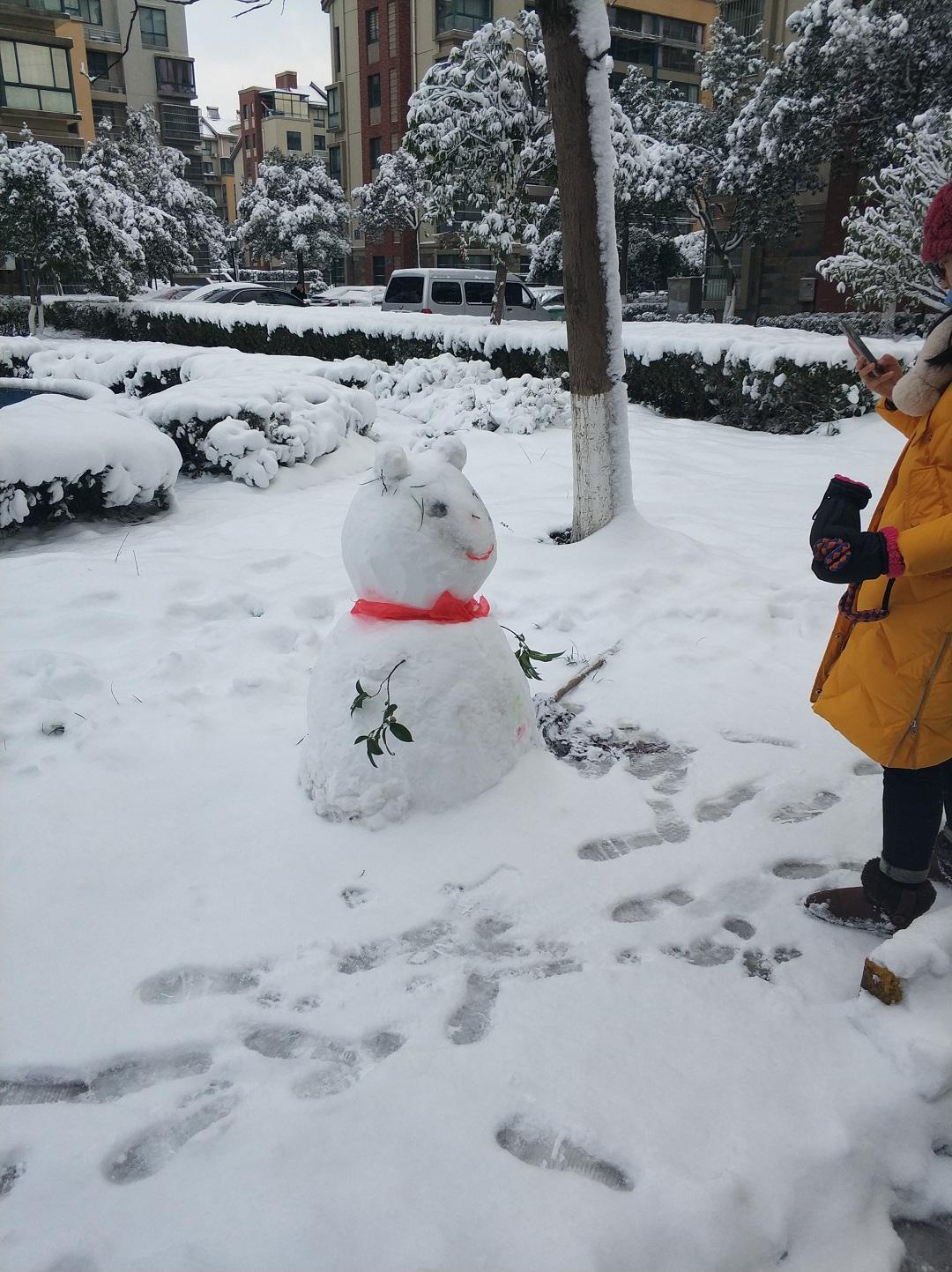 两万块钱淘一辆二手车,06年飞度变速箱拆修多少钱