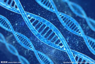 EYS基因治疗最新突破,nejm正刊