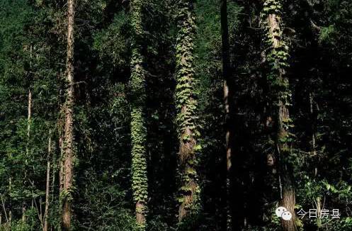 五一房县自驾游,房县旅游攻略最佳路线