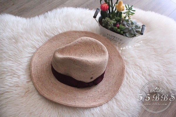 蚂蚁妈妈怀孕了,蚂蚁妈妈怀孕