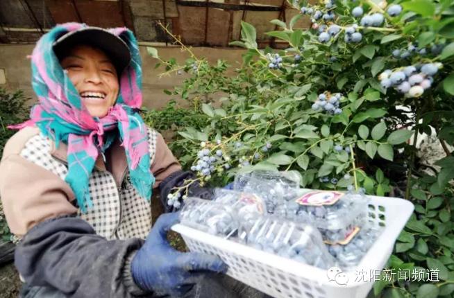 五一沈阳亲子游推荐 (2022年沈阳五一户外好玩的地方)