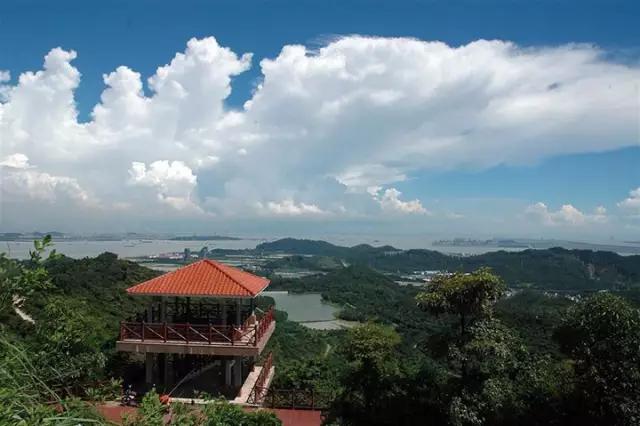 从a到z的26个拼音,从a到z的26个字母自然拼读