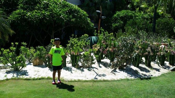 三亚周末亲子游最佳方案,三亚亲子游纯玩团