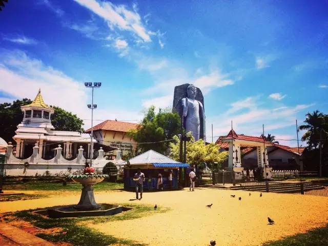 义工旅行自由行,新西兰义工旅行