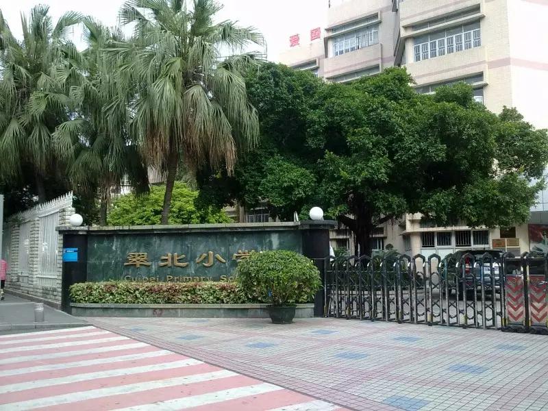 深圳罗湖区学校排名,深圳罗湖小学实力排名前十名