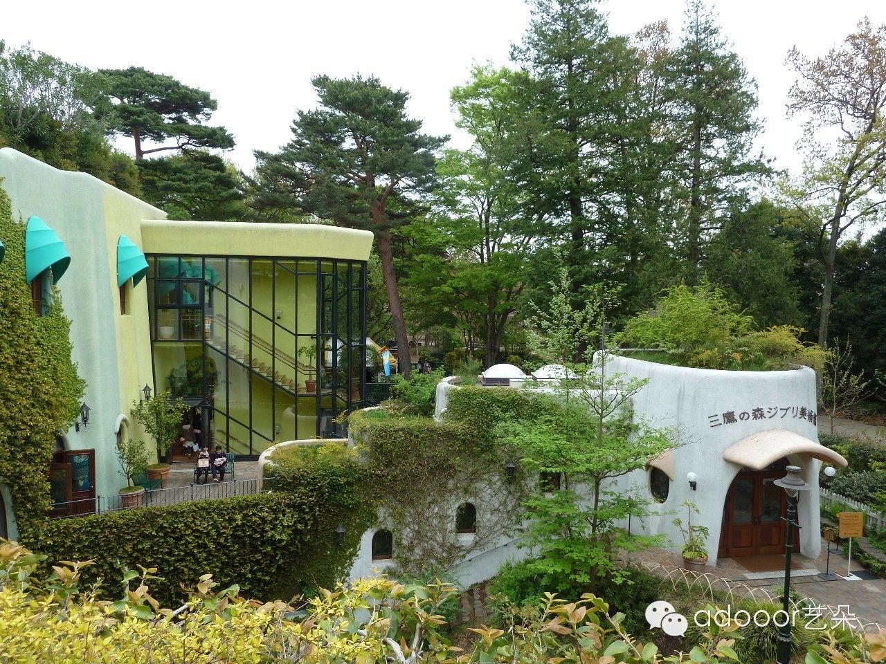 在魔都,totoro上海