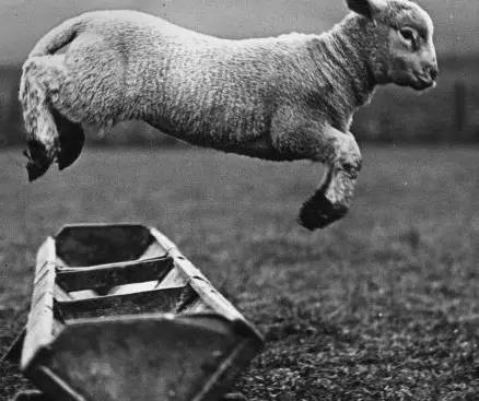 那些离职的奇葩理由,这些稀奇古怪的离职理由