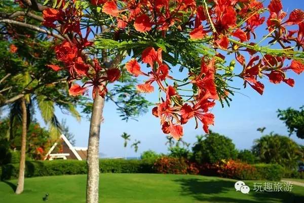 亚龙湾风水,海南三亚亚龙湾风水讲解