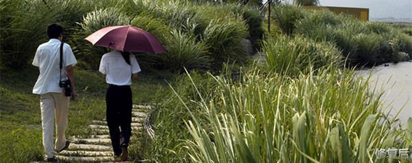 城市双修的缺点,什么是城市双修