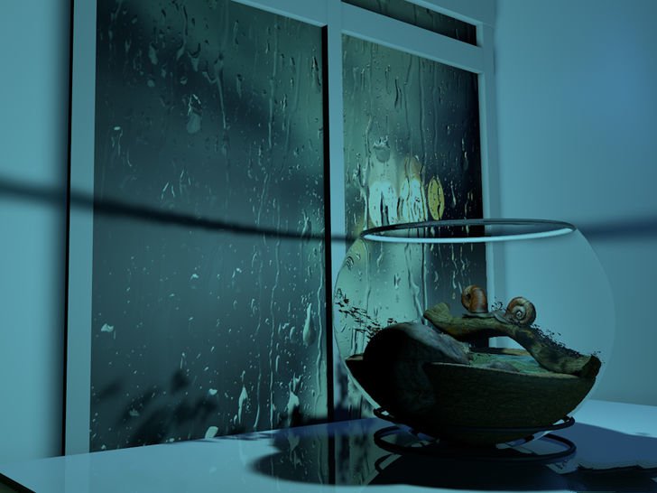 在家养蜗牛怎么养,如何养白玉蜗牛宠物