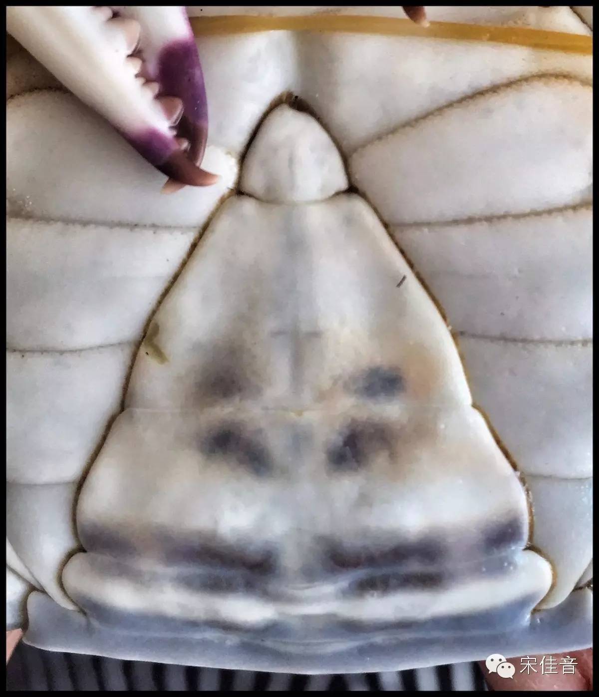 北戴河的风景很美,北戴河最美的地方