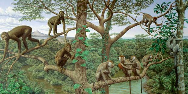 中国学者一流发现、水星凌日、抚平皱纹的神奇“面膜”｜每周科技