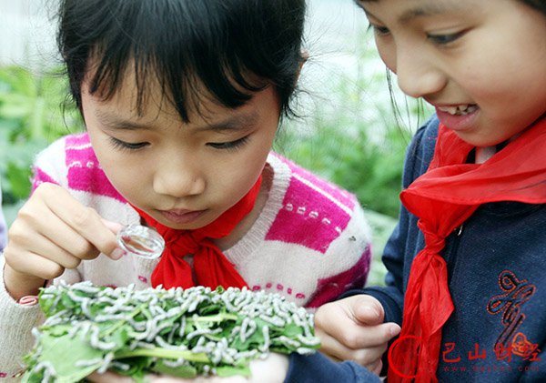 投胎是个技术活小说4,投胎是个技术活儿