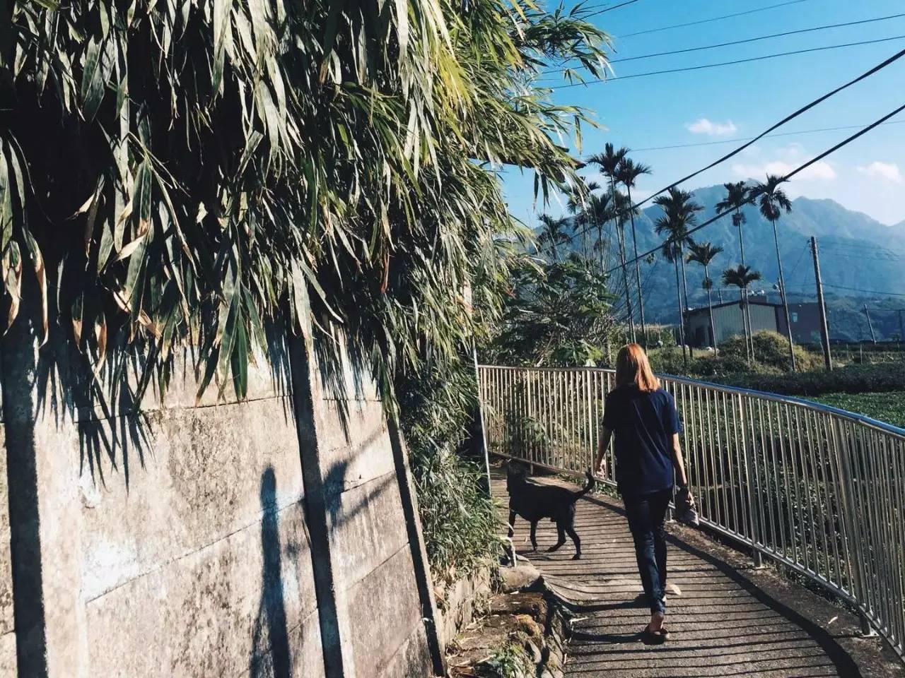 台湾女生大富：如果你只爱热闹，那南投鹿谷不适合你