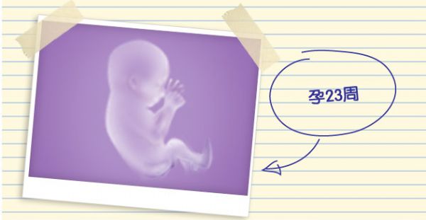 孕23周胎儿一天不动正常吗,孕23周胎儿股骨长多少正常