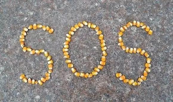 福清谣传,福清曝光骗子