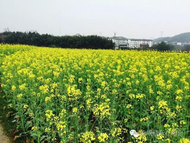 不要听说郴州怎样，进来听听郴州怎么说。