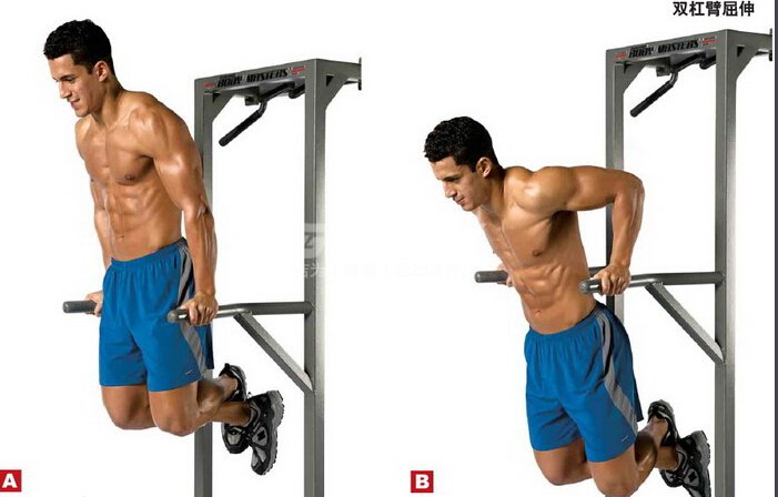 胸肌训练手臂肌肉,上胸肌和下胸肌怎么训练