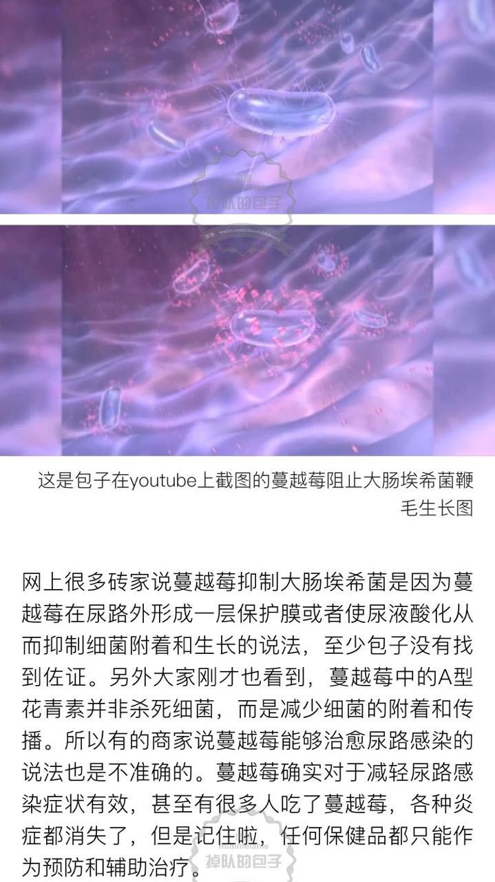 北美红宝石的蔓越莓,北美的红宝石蔓越莓