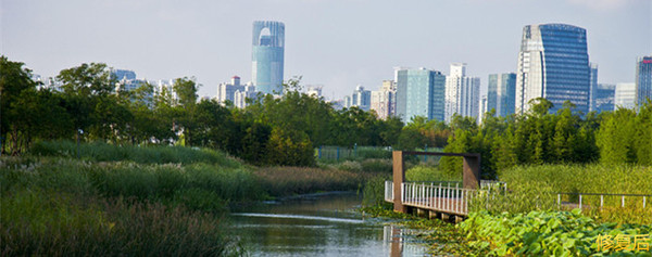 城市双修是什么,城市双修纪实