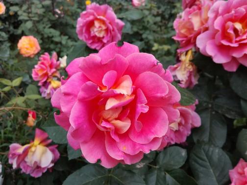 开箱荣耀畅玩20,荣耀畅玩5c刷什么系统更流畅