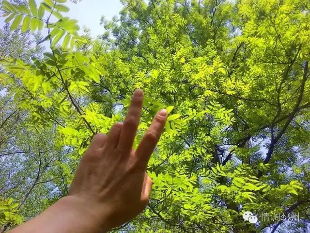 奔跑在路上看风景,奔跑着看风景视频