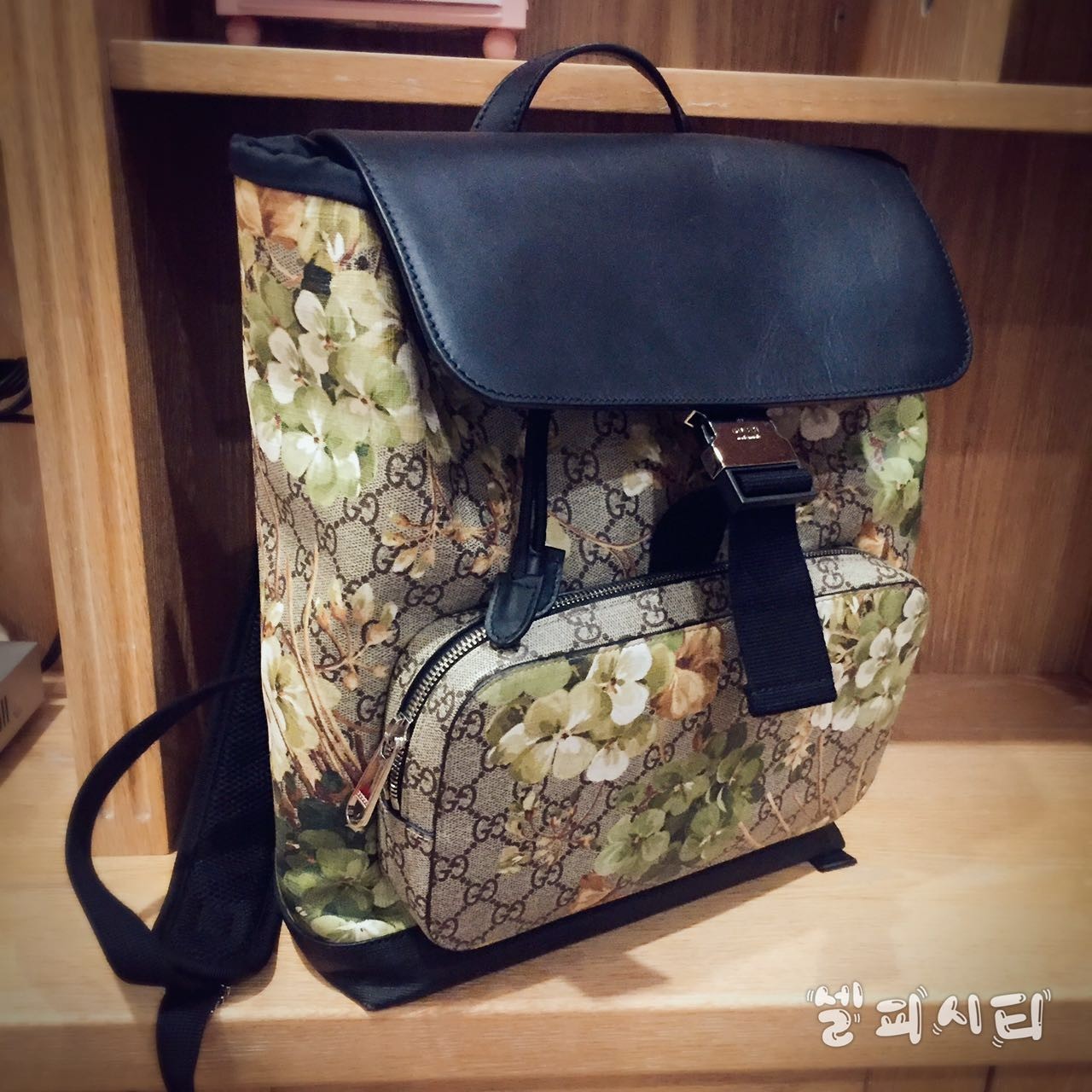 每天想带八百件东西出门,每天都想出去旅行