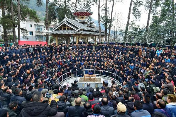 cba现场直播山东八一,体育节目cba季前赛